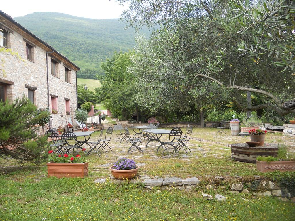 Il Giardino Degli Ulivi Castelraimondo Exterior foto