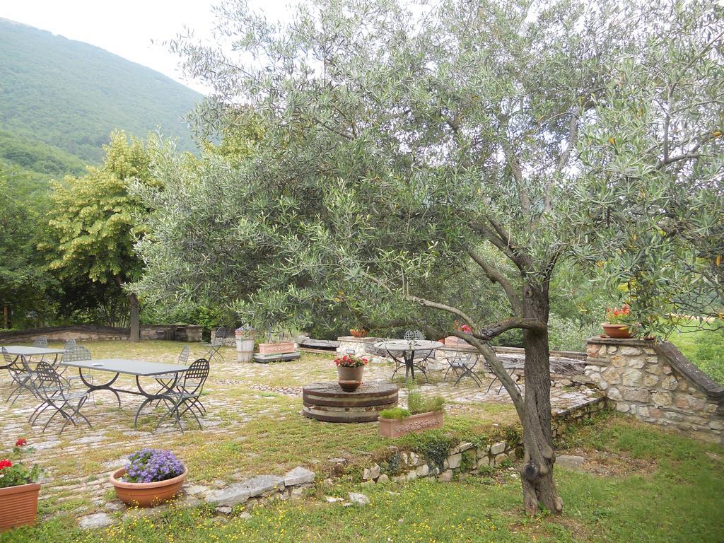 Il Giardino Degli Ulivi Castelraimondo Exterior foto
